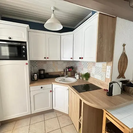 Nyaraló Charmante Maison 7 Couchages A 300m De La Plage, Parking Et Animaux Admis - Fr-1-777-45 Saint-Jean-de-Monts